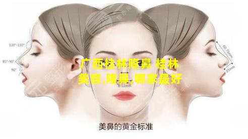 广西桂林隆鼻 桂林美容,隆鼻,哪家最好